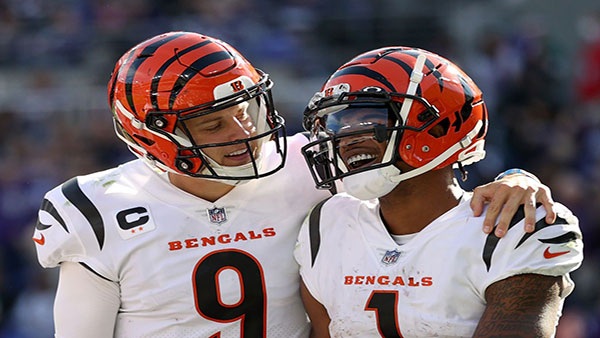 Sunrise Sports Report NFL Week 7 Newsletter