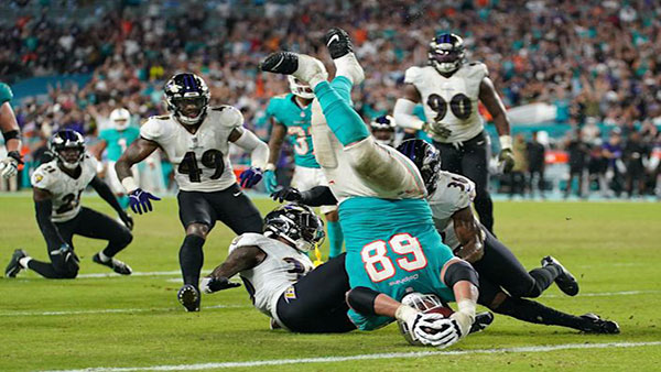 Sunrise Sports Report Week 10 NFL Newsletter